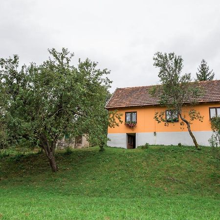 Ferienwohnung Kuca Za Odmor Jagnjic Josipdol Exterior foto
